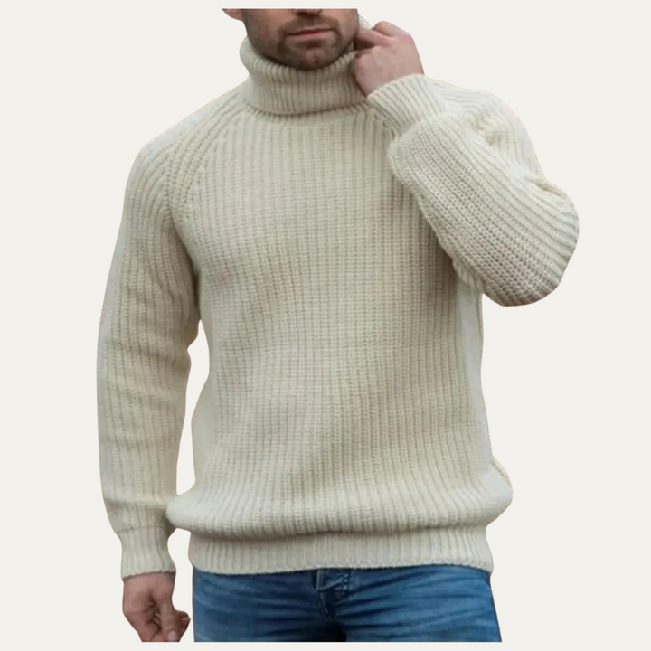 The Dundee Men's Chunky Turtleneck Warm Sweater