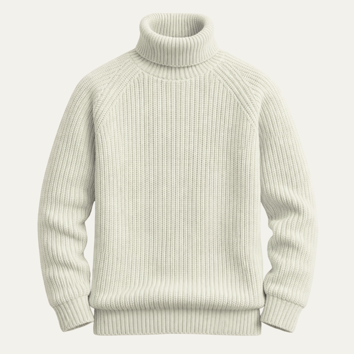 The Dundee Men's Chunky Turtleneck Warm Sweater