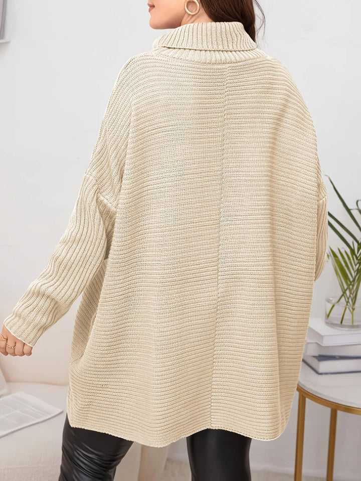 Women's Chunky Knit Dress with Turtleneck