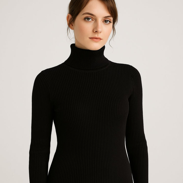 Women's Slim Fit Ribbed Turtleneck Sweater
