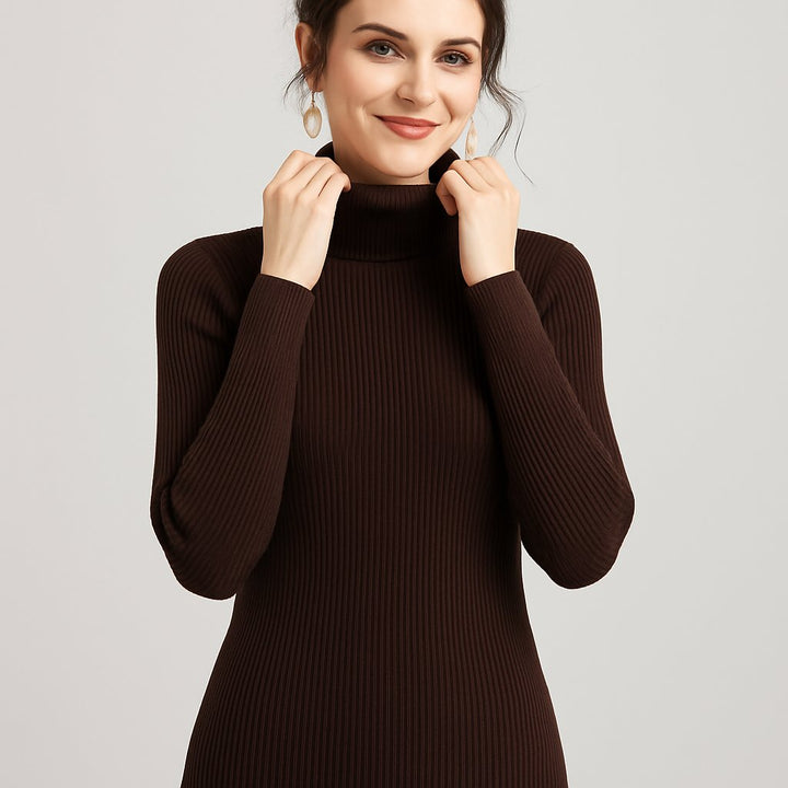 Women's Slim Fit Ribbed Turtleneck Sweater
